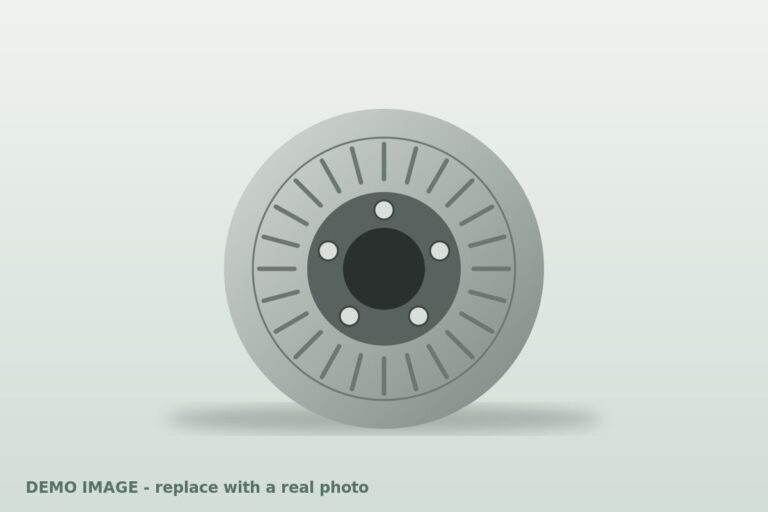 Front brake disc pair (Demo)