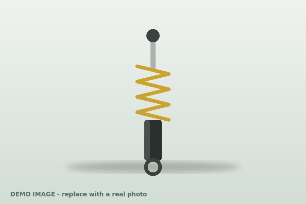 Rear shock absorber demo image (demo illustration)