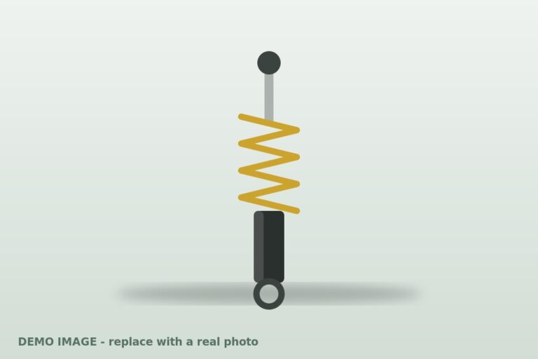 Rear shock absorber (Demo)